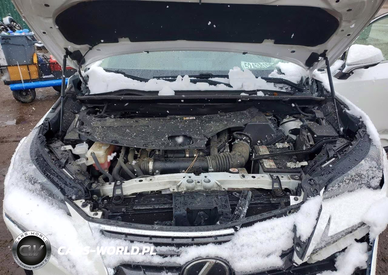 2021 Lexus Nx 300 Base VIN:JTJGARDZ0M5024751 - 12