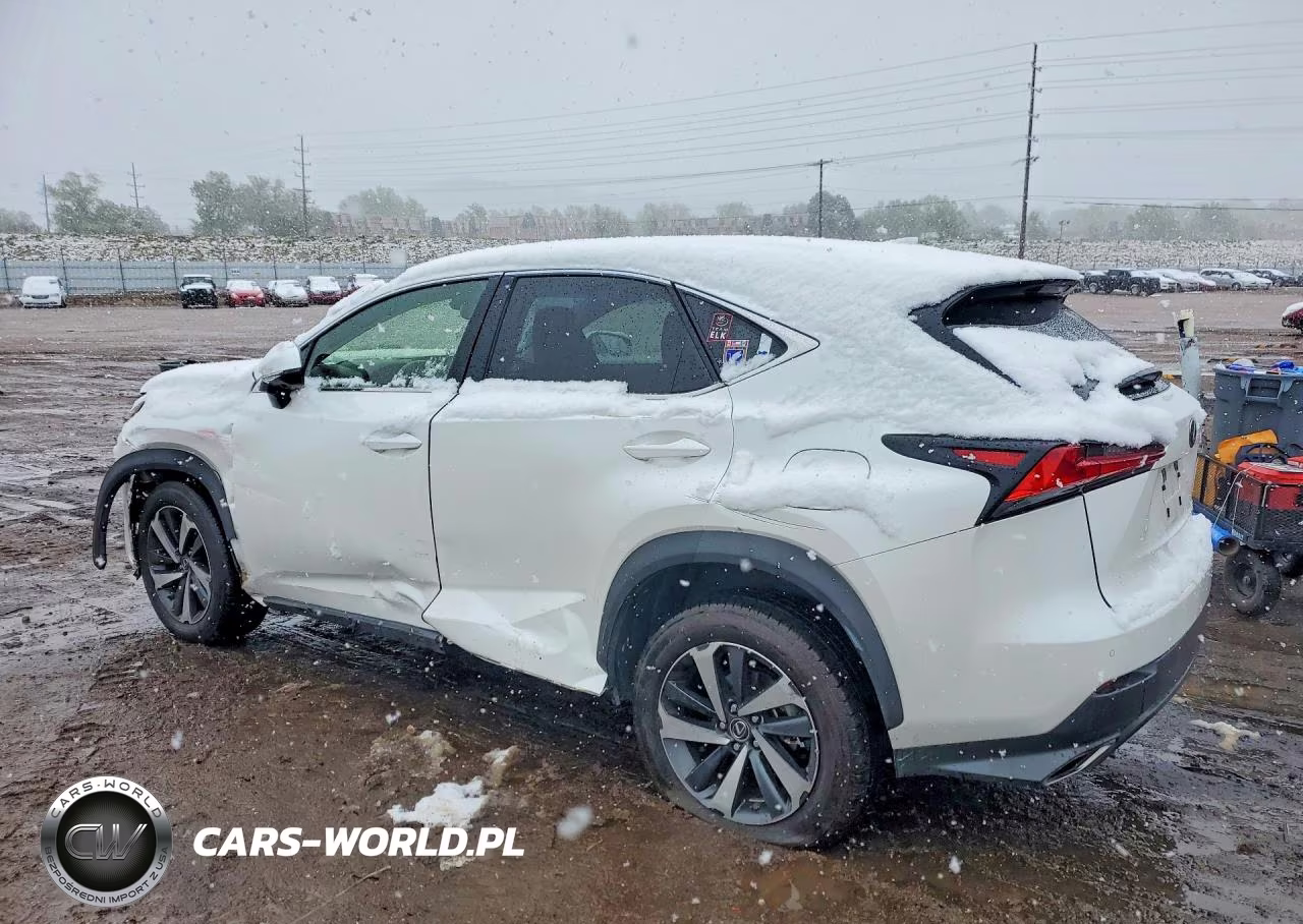 2021 Lexus Nx 300 Base VIN:JTJGARDZ0M5024751 - 2