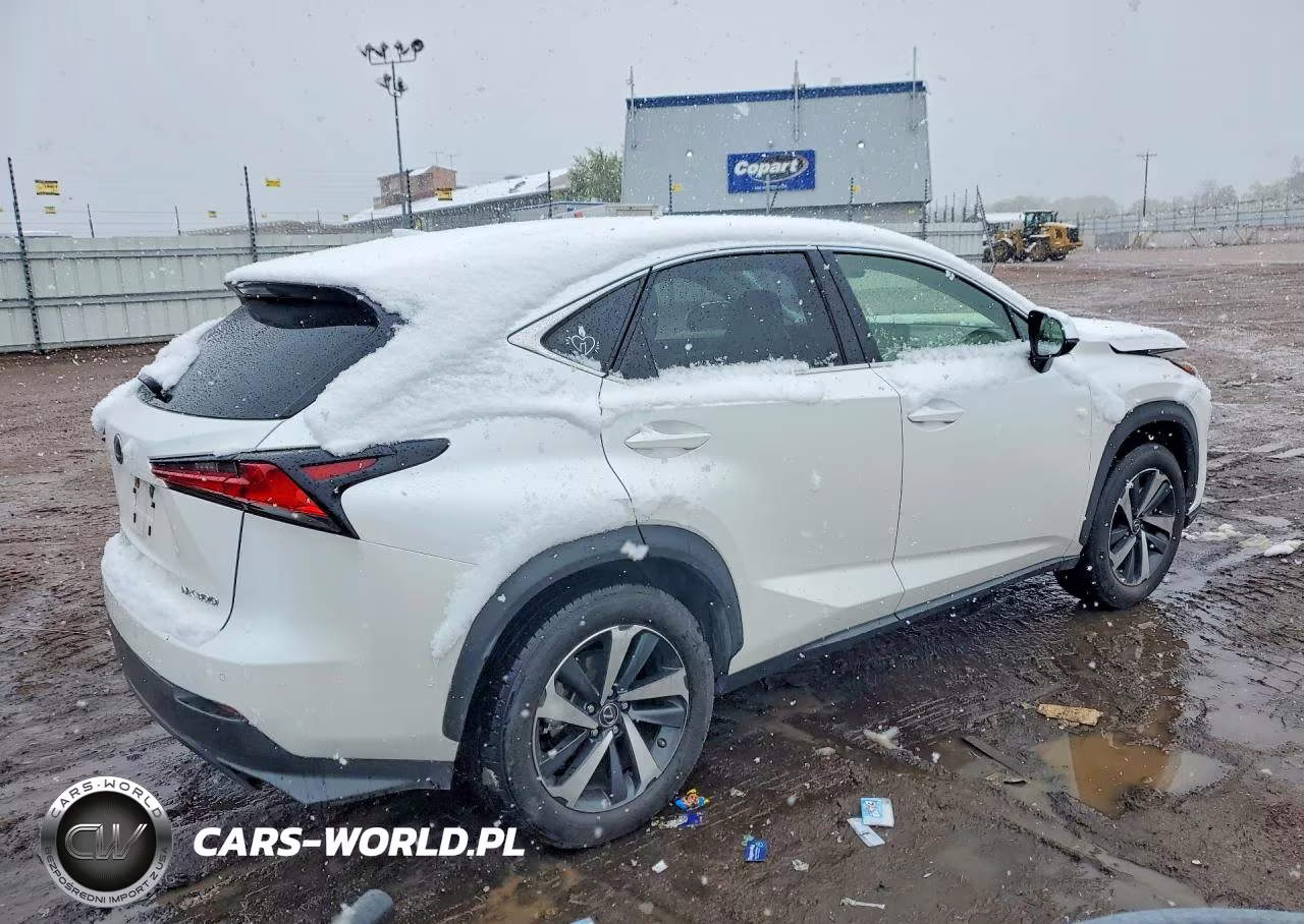 2021 Lexus Nx 300 Base VIN:JTJGARDZ0M5024751 - 3