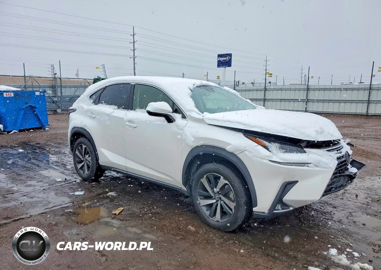 2021 Lexus Nx 300 Base VIN:JTJGARDZ0M5024751 - 4
