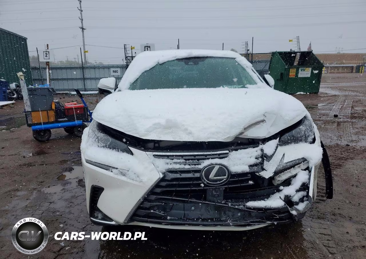 2021 Lexus Nx 300 Base VIN:JTJGARDZ0M5024751 - 5