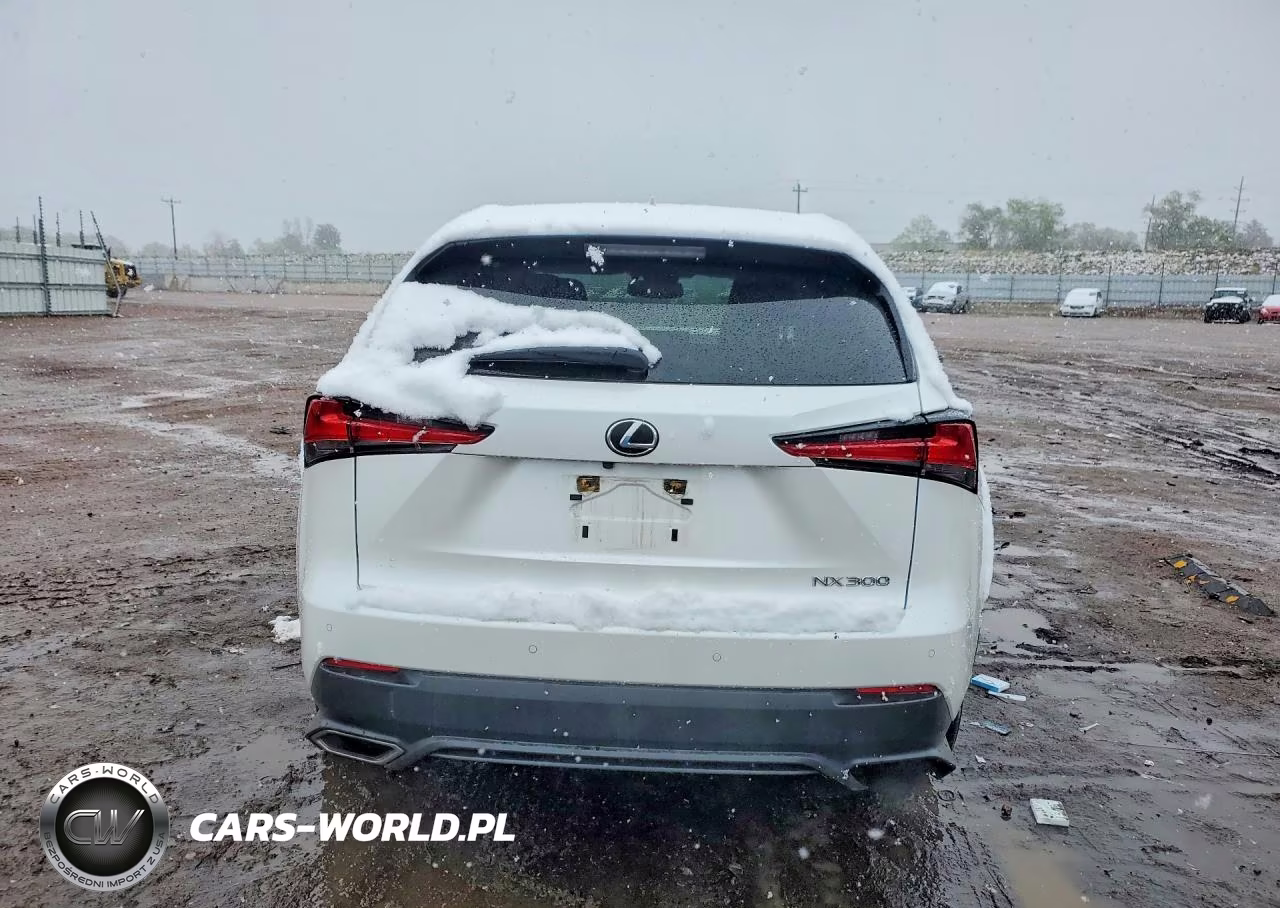 2021 Lexus Nx 300 Base VIN:JTJGARDZ0M5024751 - 6