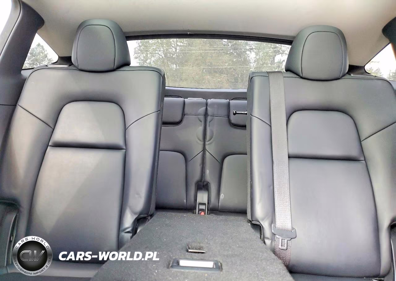 2024 Tesla Model Y VIN:7SAYGAEE3RF084941 - 10
