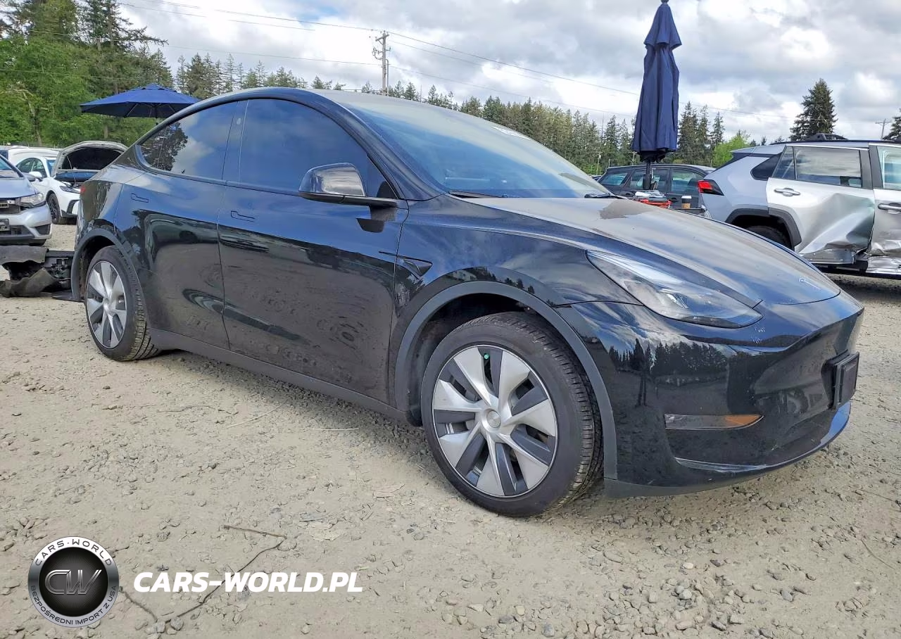 2024 Tesla Model Y VIN:7SAYGAEE3RF084941 - 4