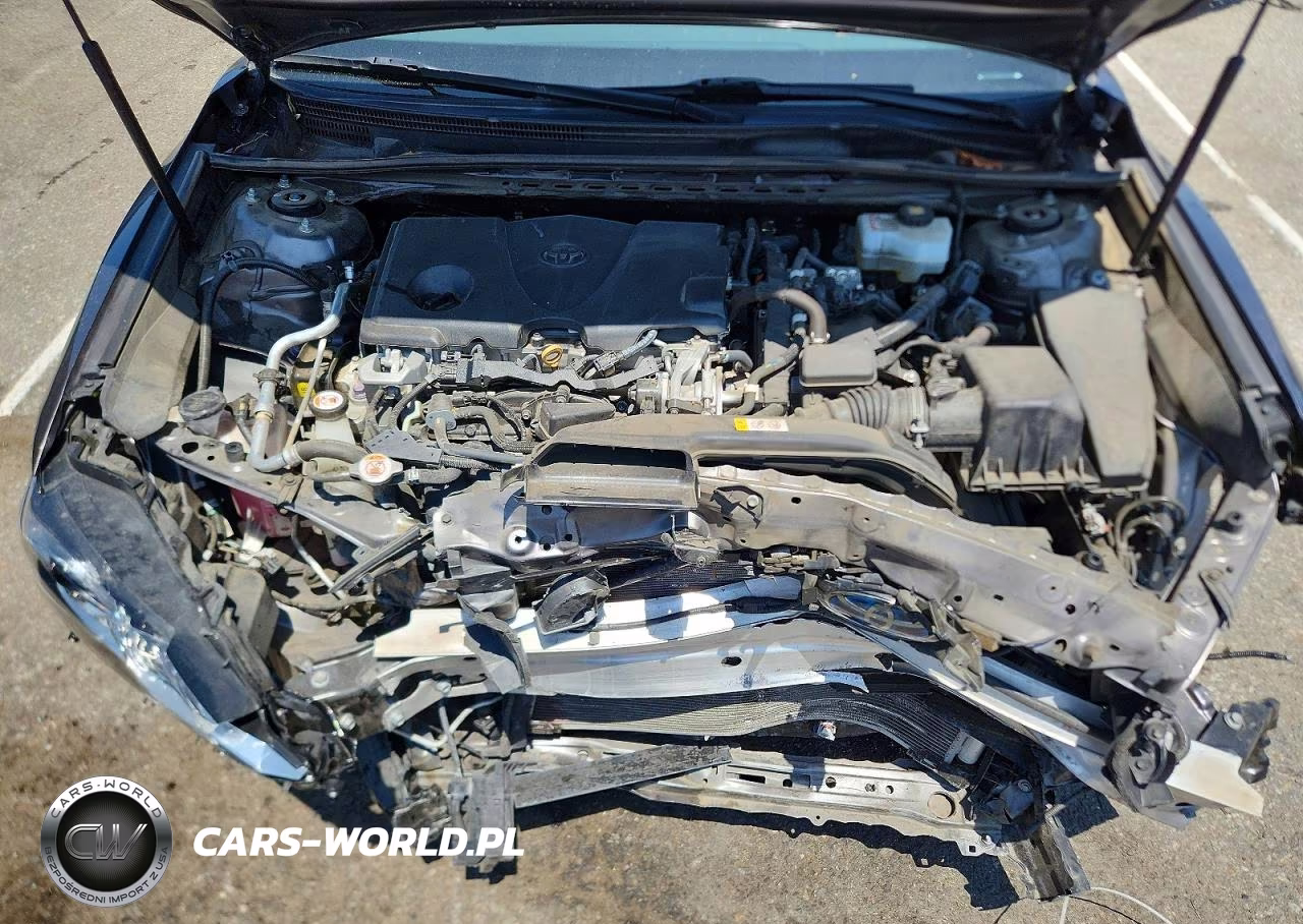 2019 Toyota Camry Le VIN:4T1B31HK9KU512391 - 11