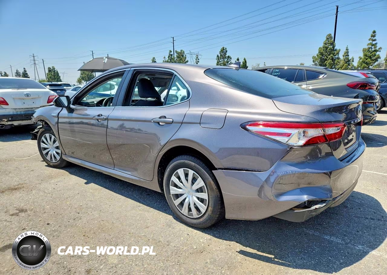 2019 Toyota Camry Le VIN:4T1B31HK9KU512391 - 2