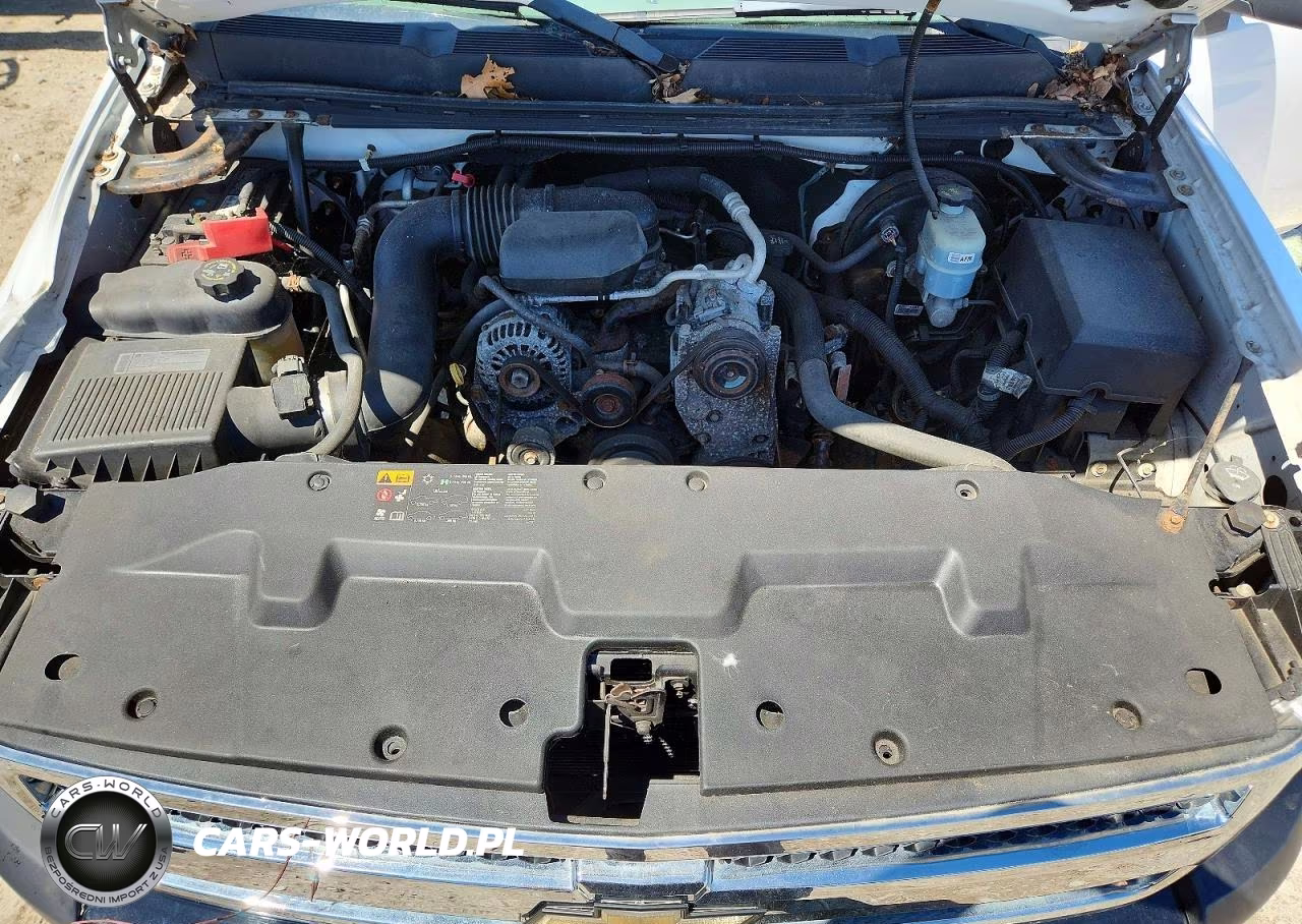 2010 Chev Silverado 1500 VIN:1GCSCPEX2AZ192338 - 11