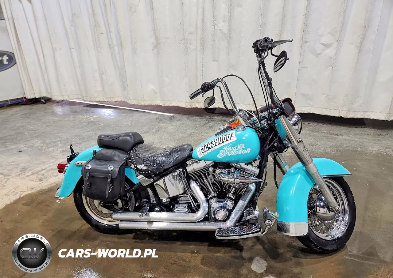 2001 Harley Davidson Flstci