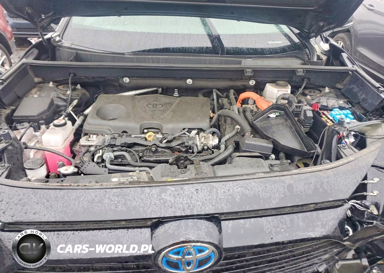 2022 Toyota Rav4 Se VIN:4T3T6RFV8NU104984 - 12