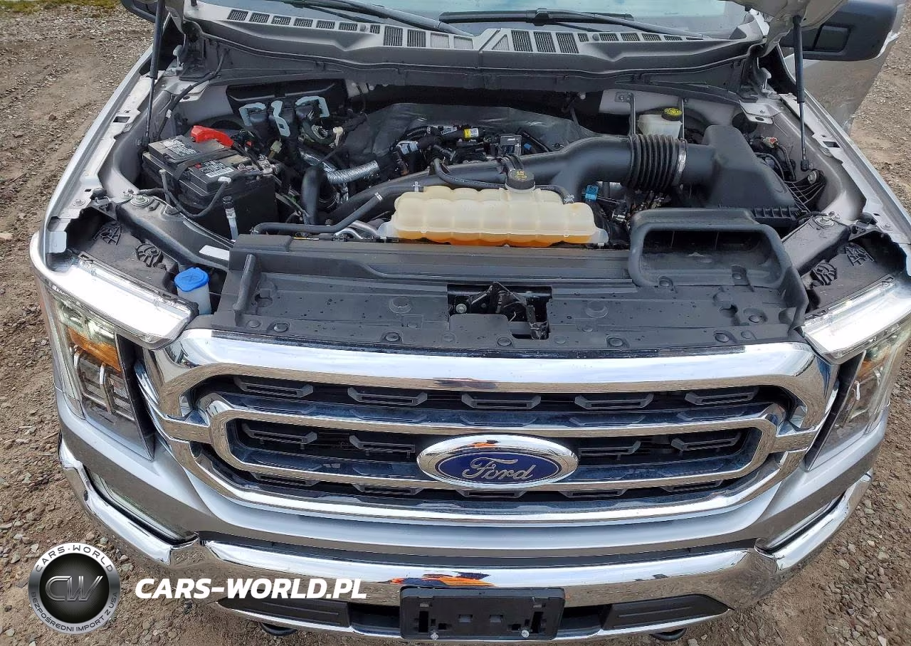 2023 Ford F-150 Xlt VIN:1FTEW1EPXPKE67456 - 11