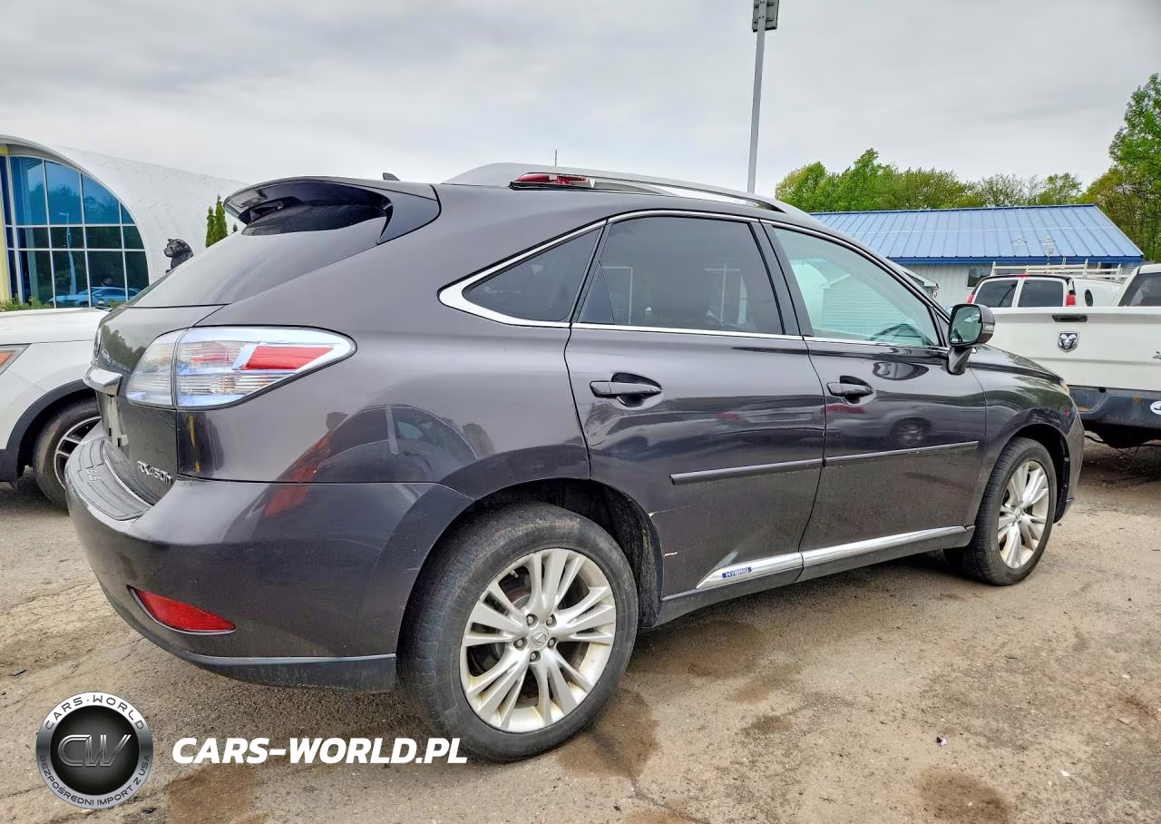 2010 Lexs Rx 450H VIN:JTJBC1BA0A2020635 - 3
