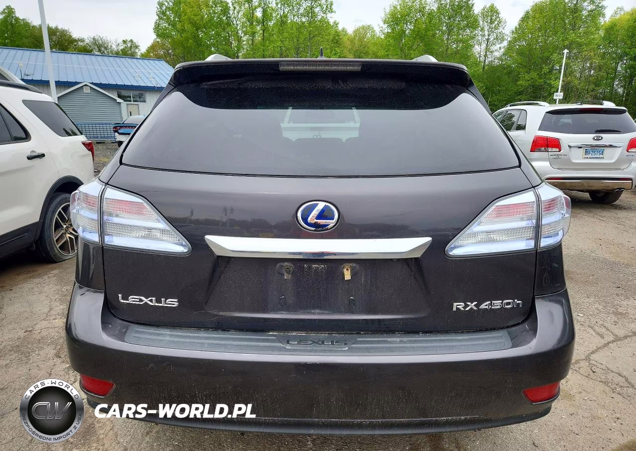 2010 Lexs Rx 450H VIN:JTJBC1BA0A2020635 - 6