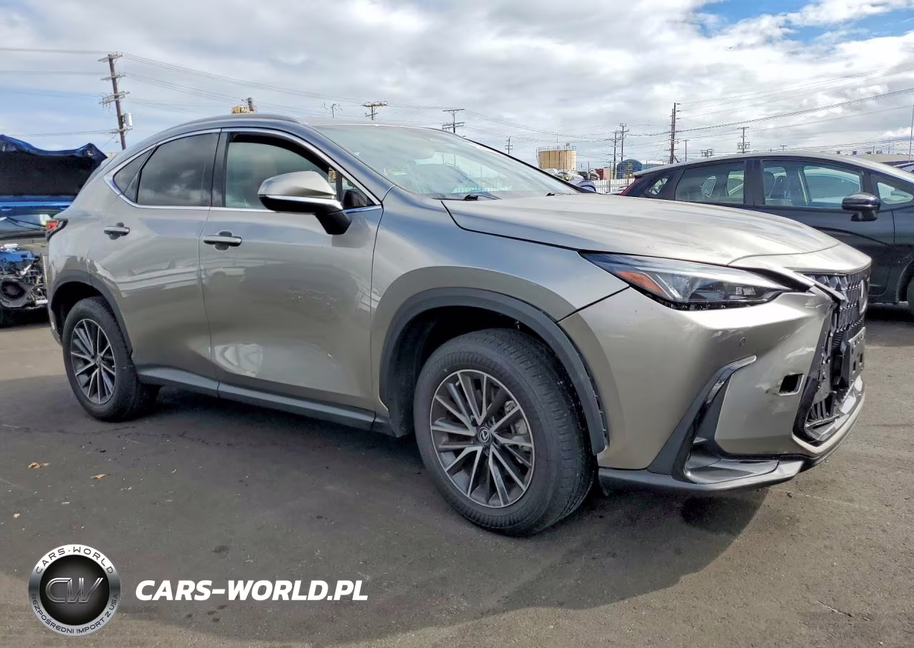 2023 Lexus Nx 250 VIN:2T2GDCAZ7PC003149 - 4