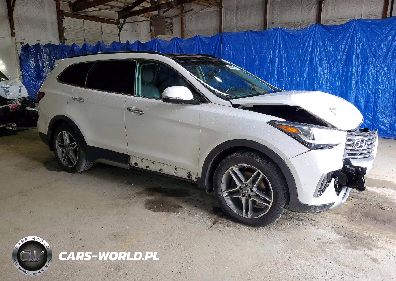 2017 Hyundai Santa Fe Limited Ultimate VIN:KM8SRDHF8HU203376 - 4