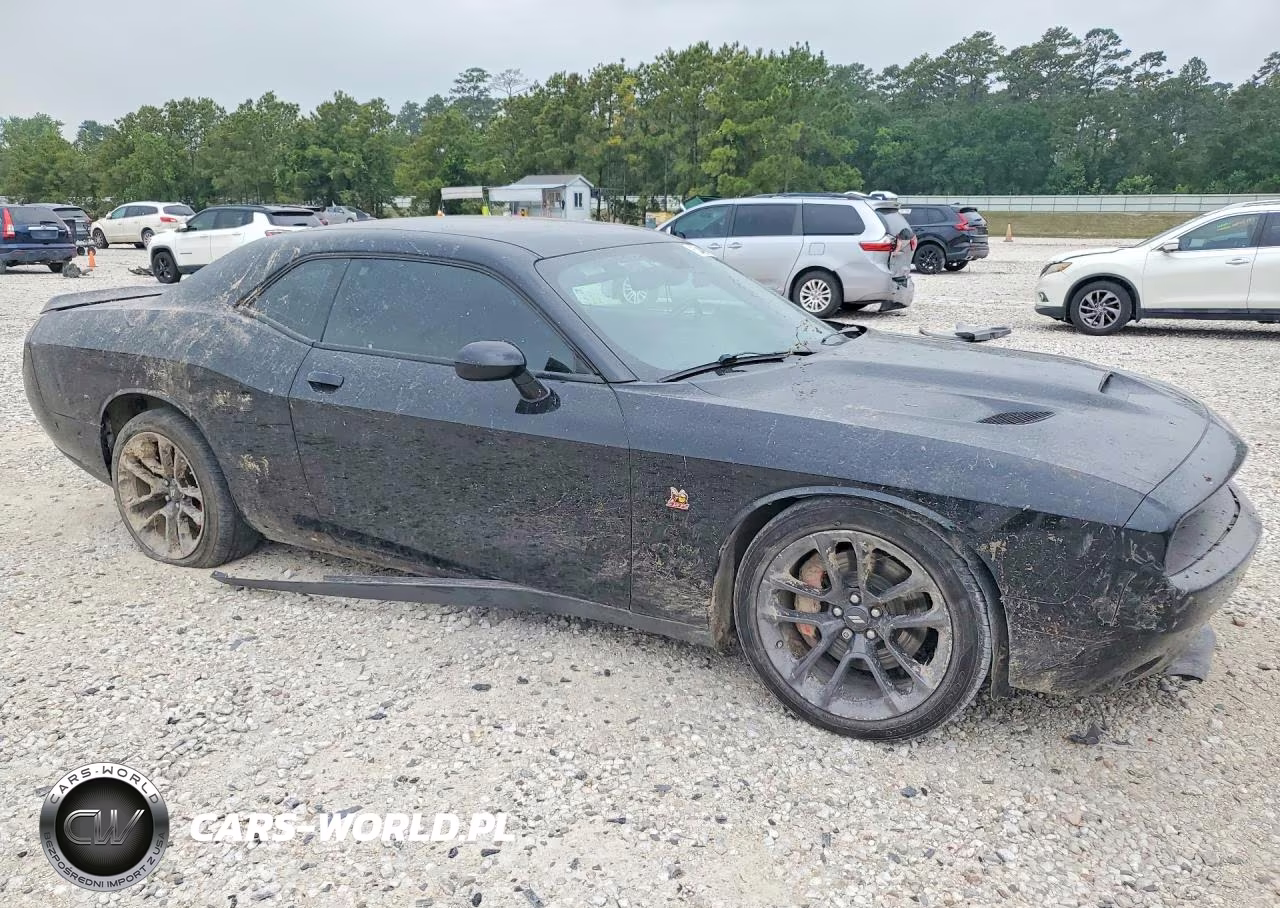 2021 Dodge Challenger R VIN:2C3CDZFJ4MH641700 - 4