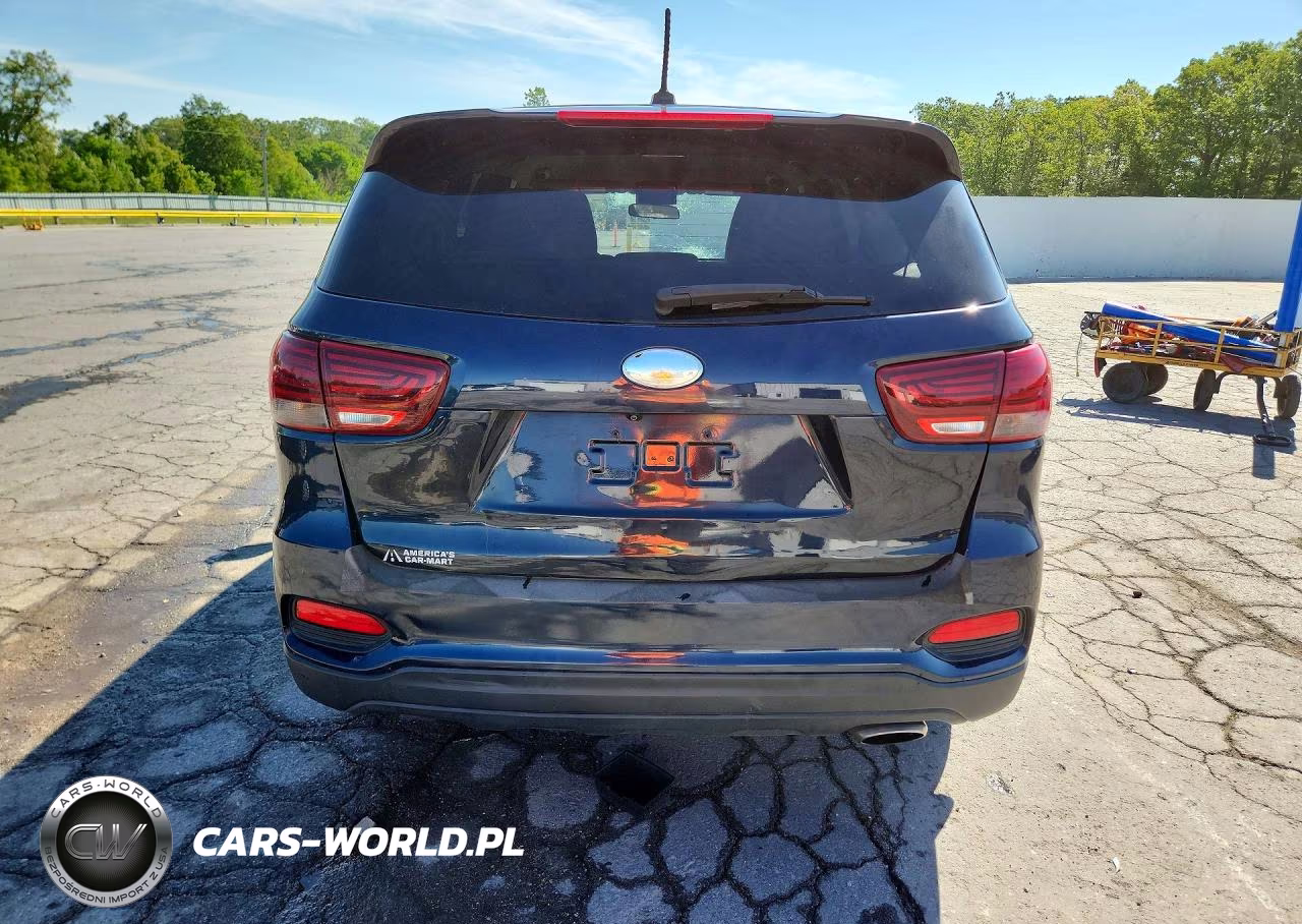2019 Kia Sorento Lx VIN:5XYPG4A3XKG547493 - 6