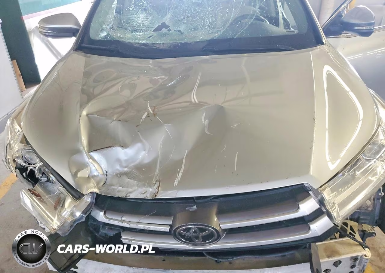 2017 Toyota Highlander Xle VIN:5TDJZRFH3HS389835 - 12