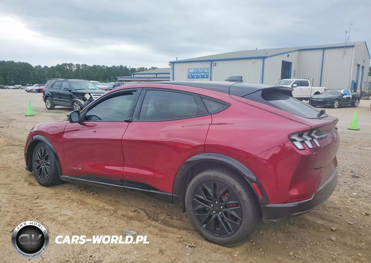2025 Ford Mustang Mach-E Premium VIN:3FMTK3R77SMA14580 - 2