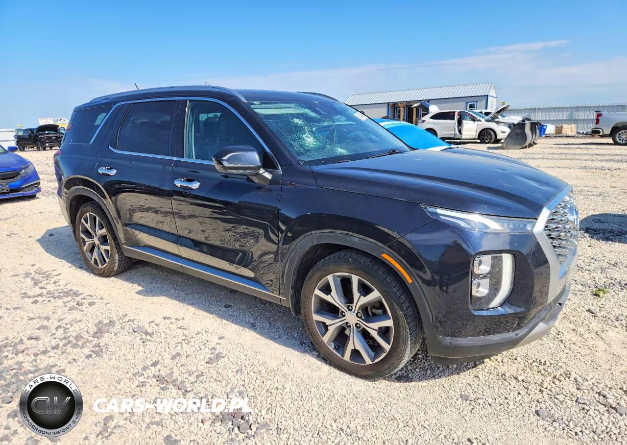 2020 Hyundai Palisade Sel VIN:KM8R34HEXLU103649 - 4