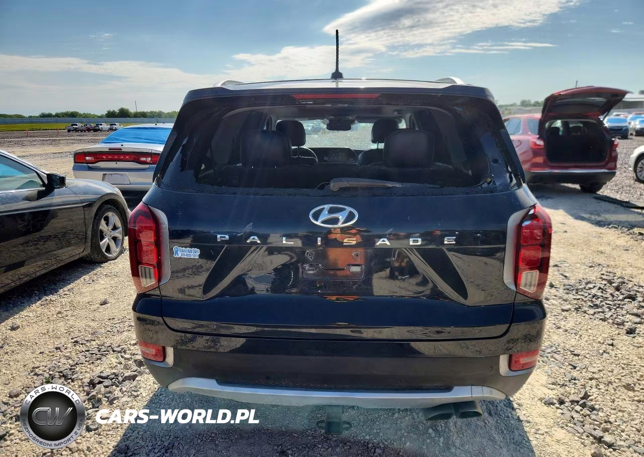 2020 Hyundai Palisade Sel VIN:KM8R34HEXLU103649 - 6