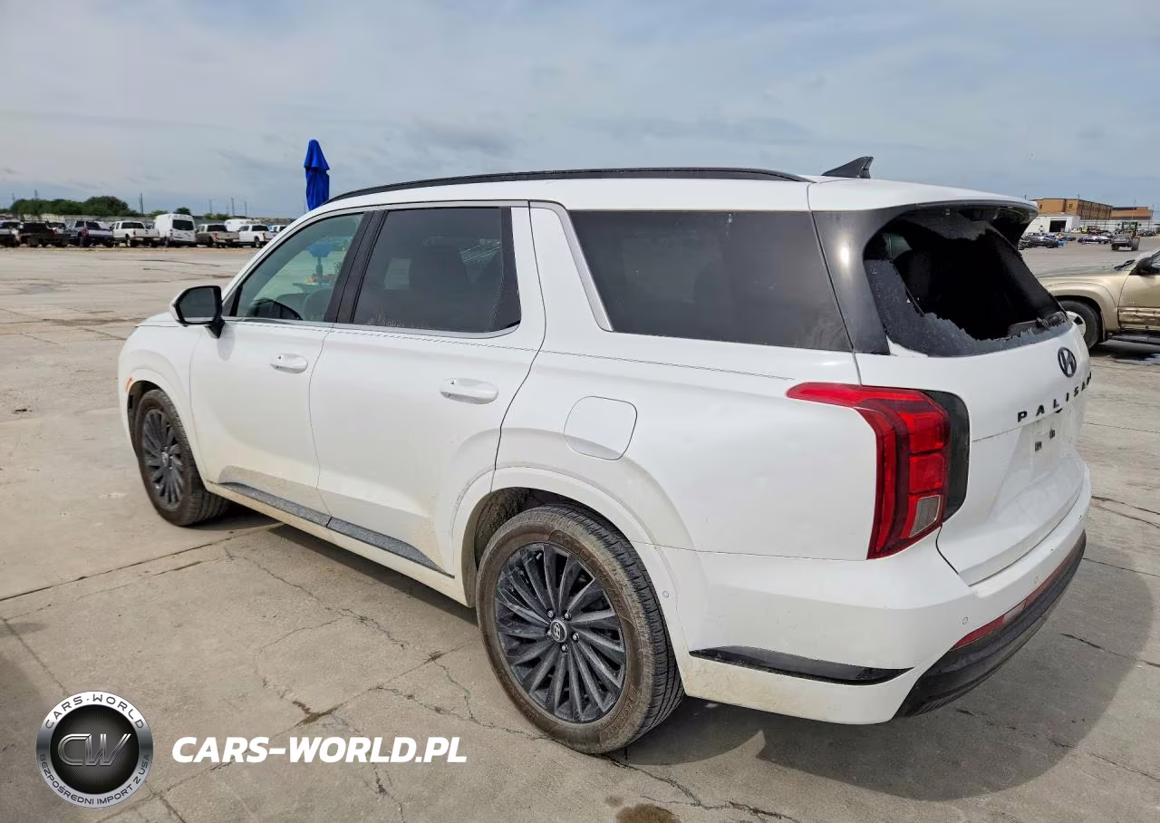 2024 Hyundai Palisade Calligraphy Night Edition VIN:KM8R7DGE6RU690351 - 2