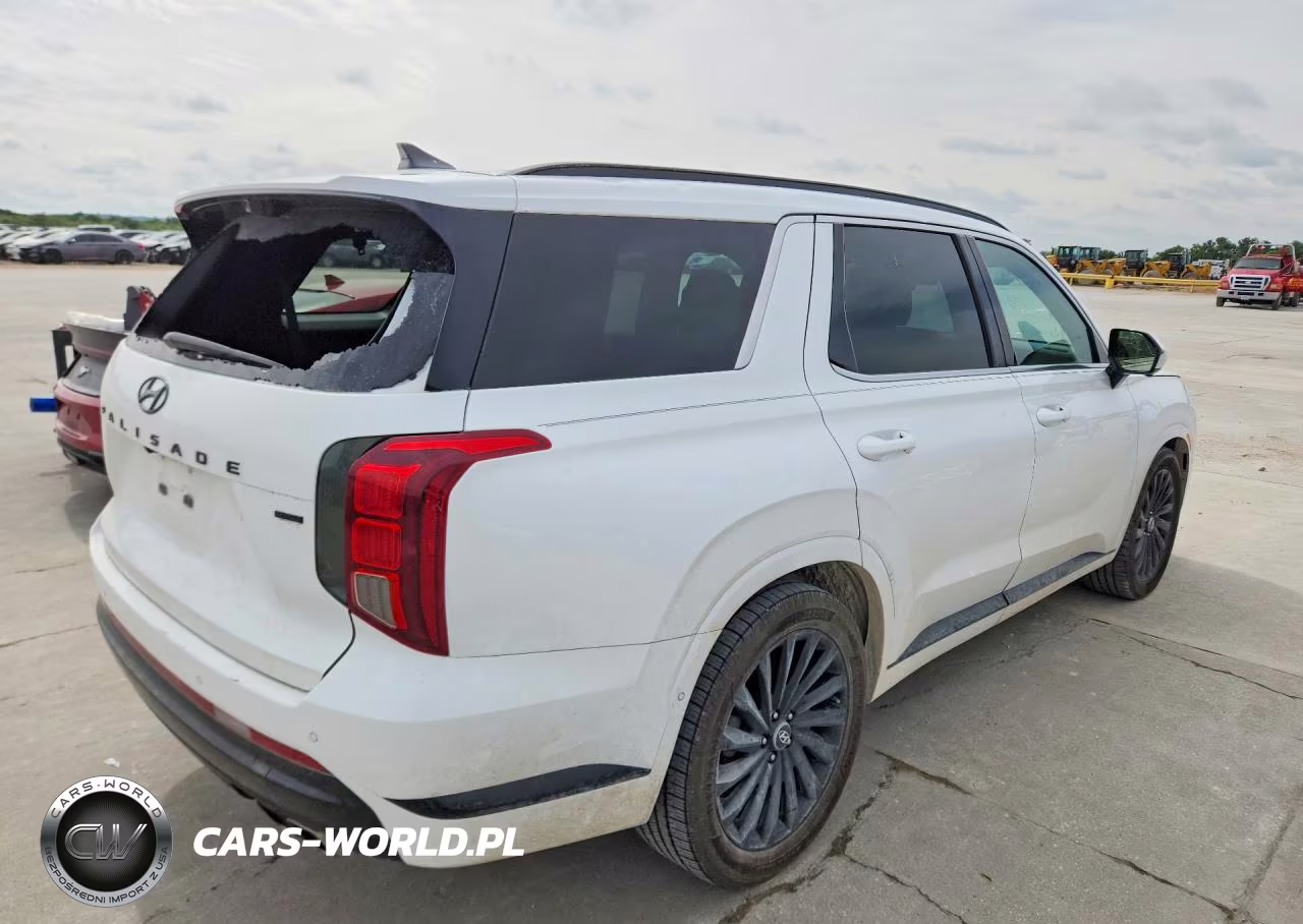 2024 Hyundai Palisade Calligraphy Night Edition VIN:KM8R7DGE6RU690351 - 3
