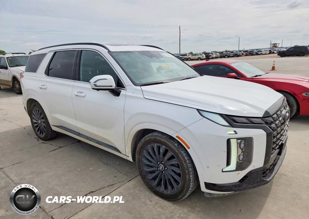 2024 Hyundai Palisade Calligraphy Night Edition VIN:KM8R7DGE6RU690351 - 4