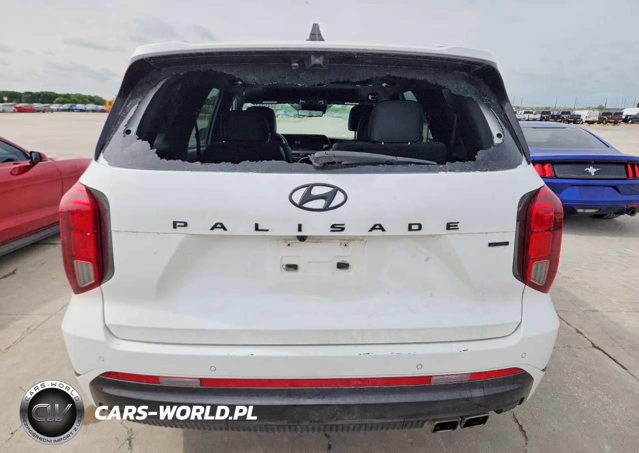 2024 Hyundai Palisade Calligraphy Night Edition VIN:KM8R7DGE6RU690351 - 6