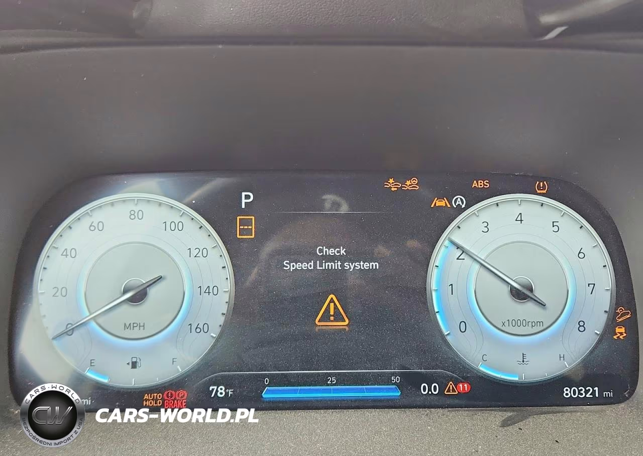 2024 Hyundai Palisade Calligraphy Night Edition VIN:KM8R7DGE6RU690351 - 9