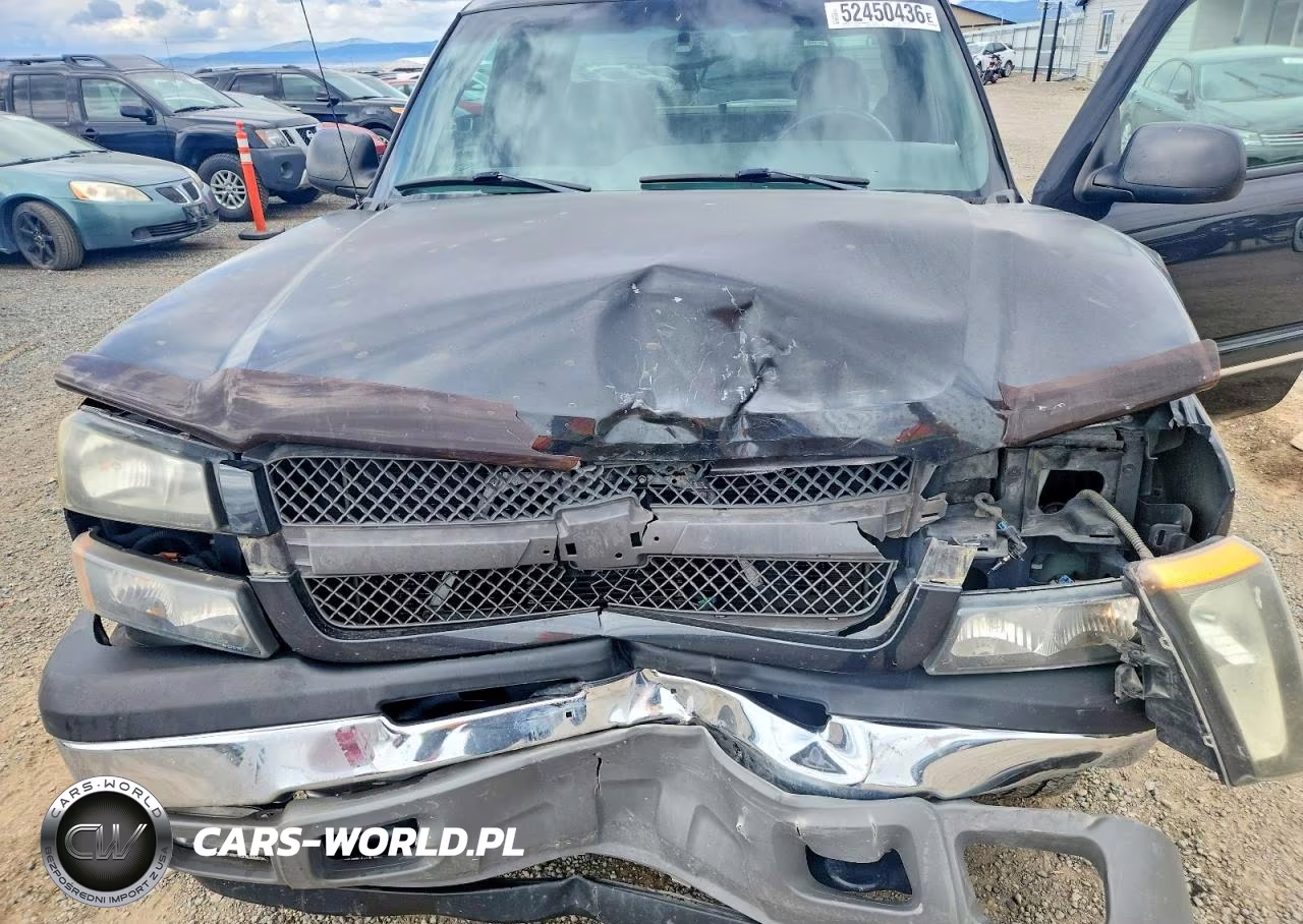 2005 Chevrolet Silverado K1500 VIN:1GCEK19B15E296425 - 11