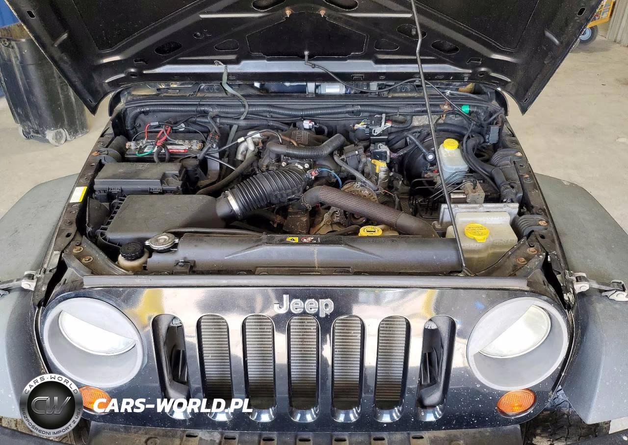 2010 Jeep Wrangler Unlimited Sport VIN:1J4BA3H19AL194221 - 11