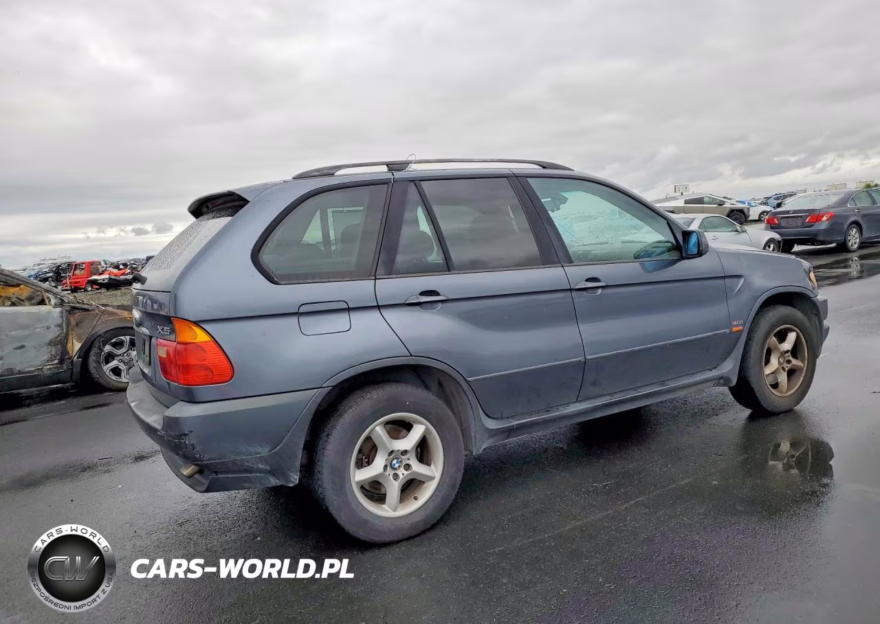 2003 BMW X5 3.0I VIN:5UXFA53593LV75968 - 3