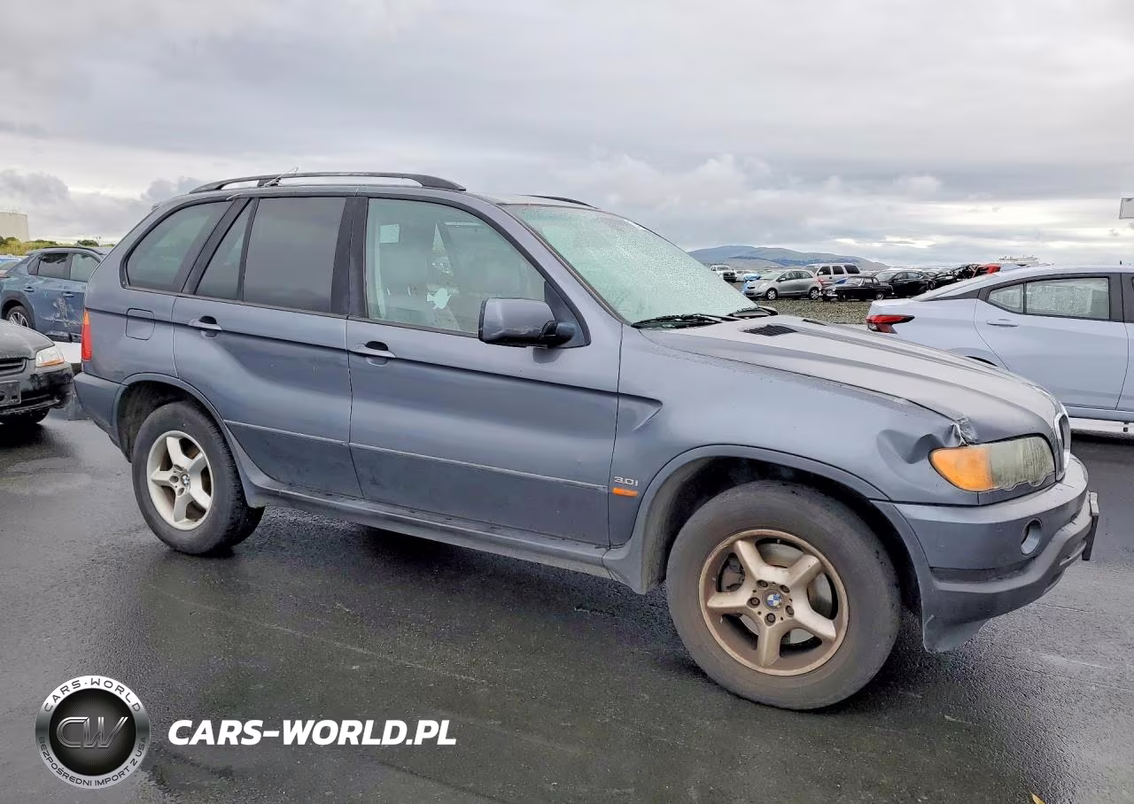 2003 BMW X5 3.0I VIN:5UXFA53593LV75968 - 4