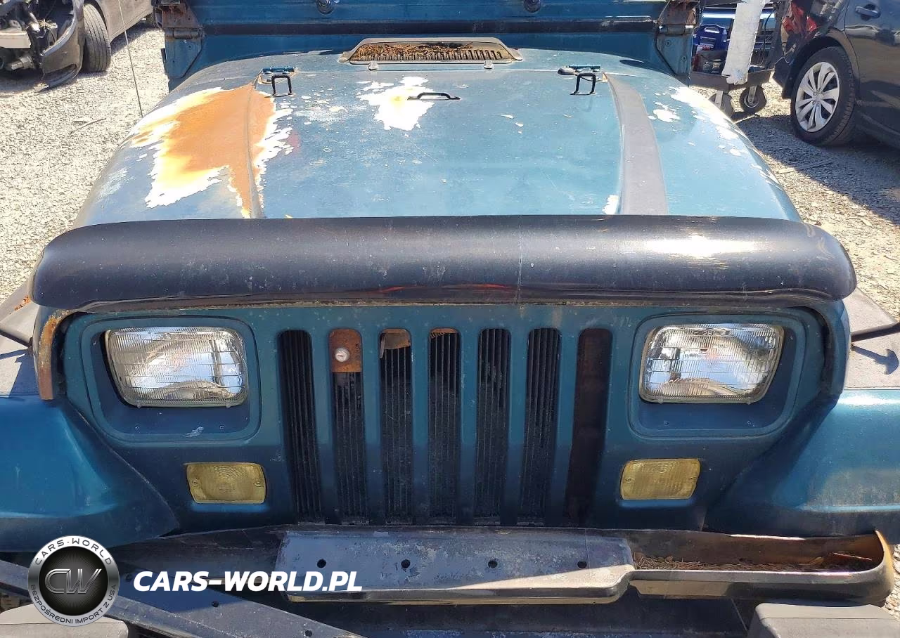 1996 Jep Wrangler VIN:1J4FY19P5SP266062 - 11