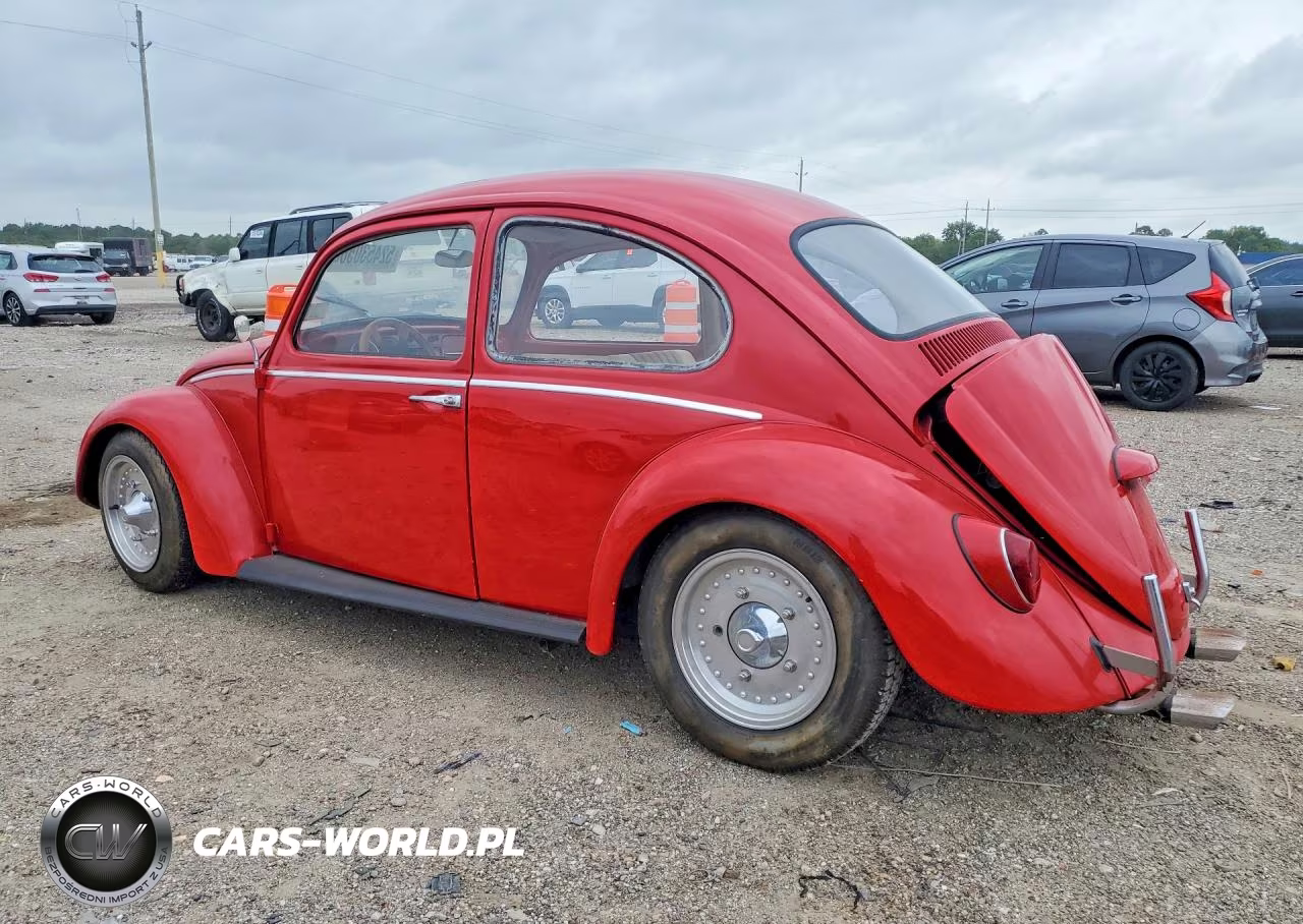1966 Volk Beetle VIN:116755044 - 2