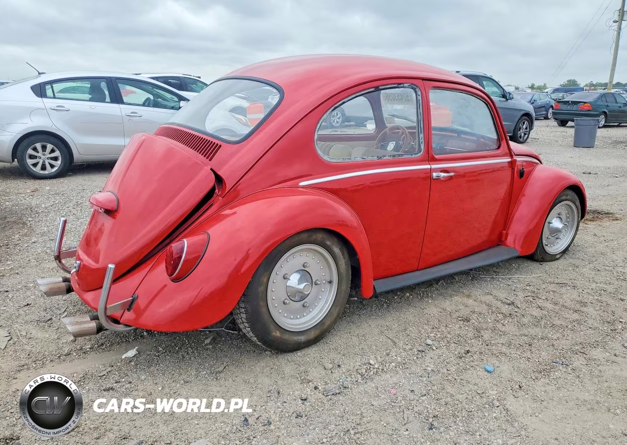 1966 Volk Beetle VIN:116755044 - 3