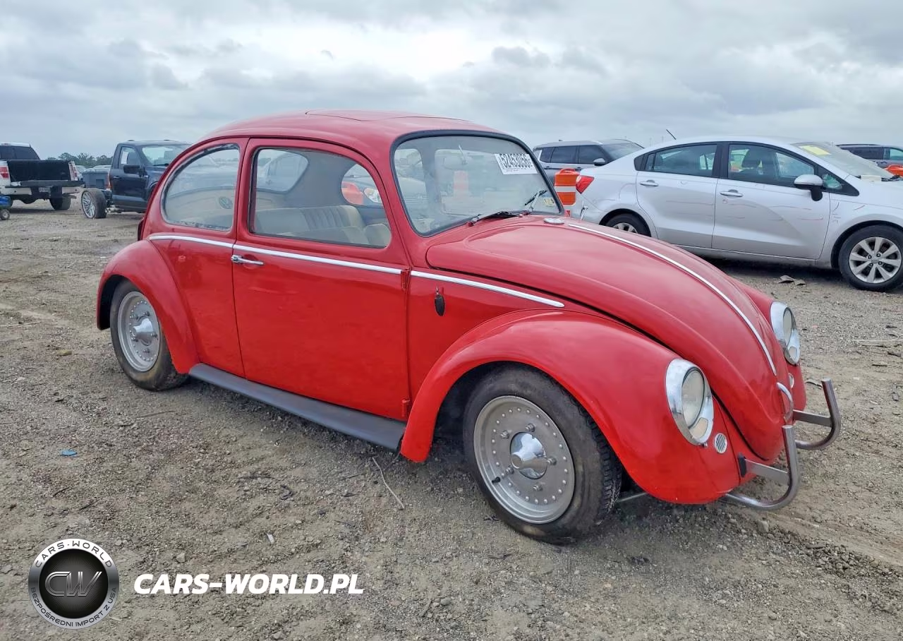 1966 Volk Beetle VIN:116755044 - 4