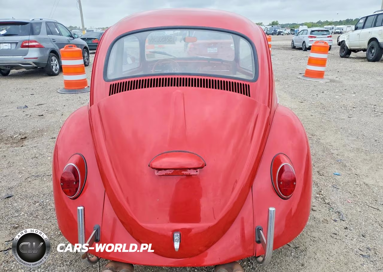 1966 Volk Beetle VIN:116755044 - 6
