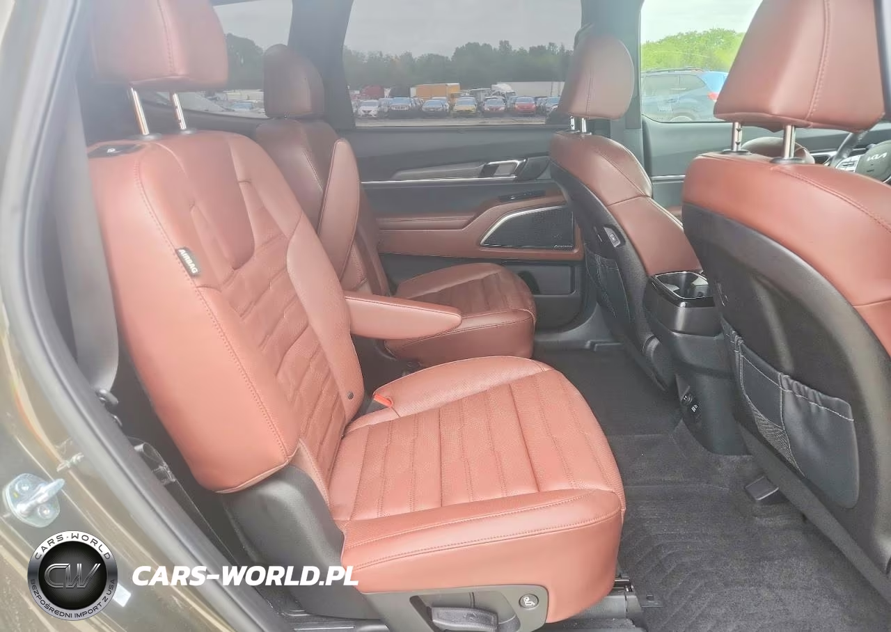 2024 Kia Telluride Sx-Prestige VIN:5XYP5DGC1RG530637 - 10