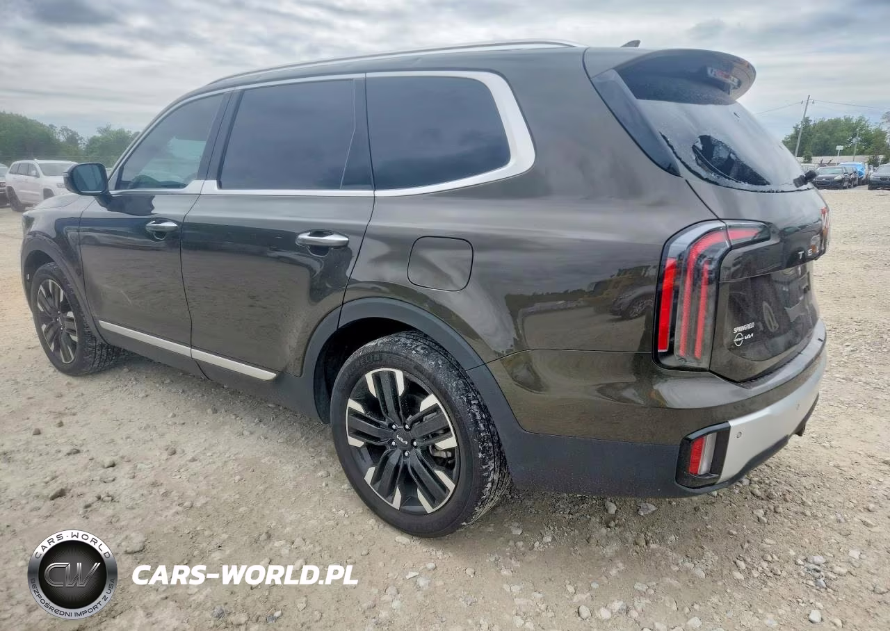 2024 Kia Telluride Sx-Prestige VIN:5XYP5DGC1RG530637 - 2