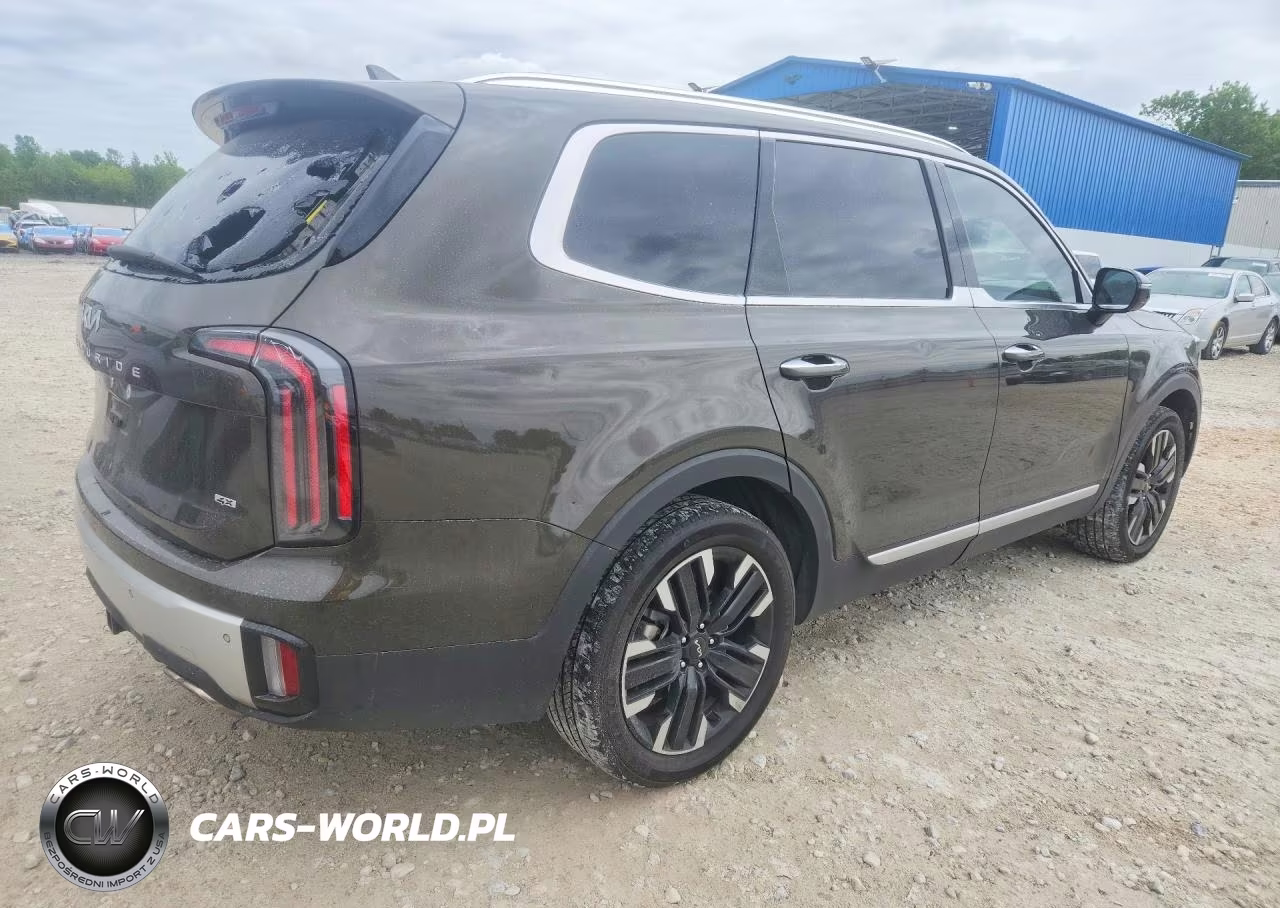 2024 Kia Telluride Sx-Prestige VIN:5XYP5DGC1RG530637 - 3