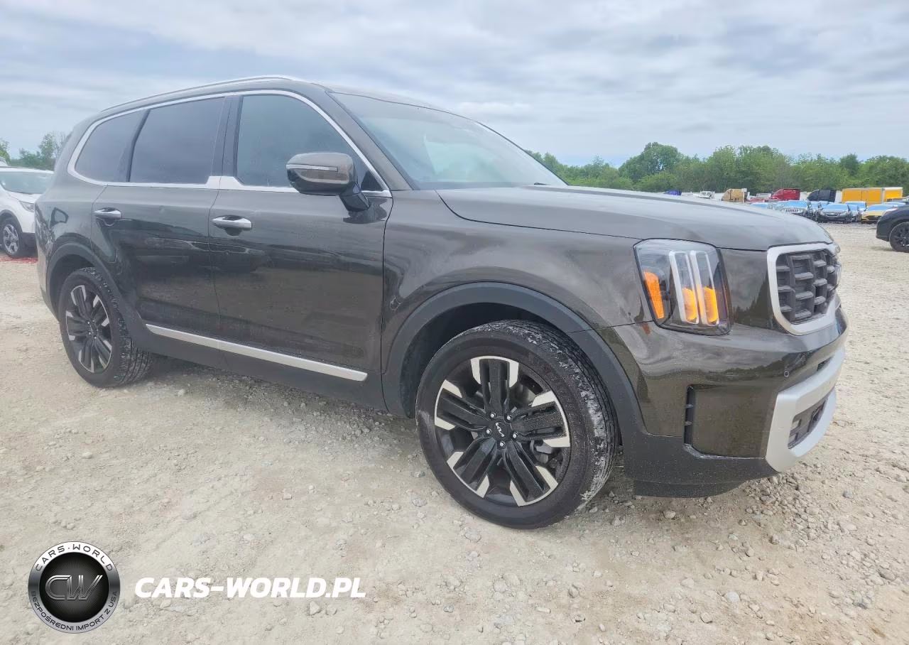 2024 Kia Telluride Sx-Prestige VIN:5XYP5DGC1RG530637 - 4
