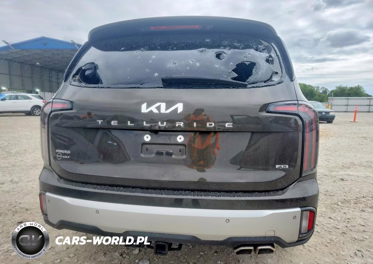 2024 Kia Telluride Sx-Prestige VIN:5XYP5DGC1RG530637 - 6