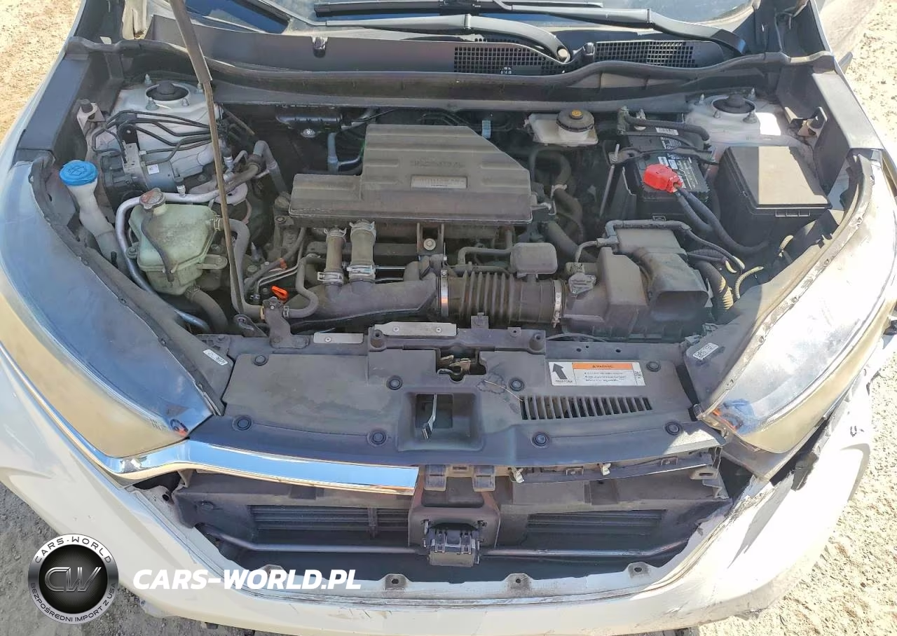 2017 Honda Cr-V Exl VIN:5J6RW1H8XHL012084 - 12