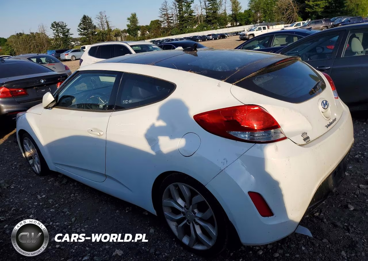 2013 Hyundai Veloster Base VIN:KMHTC6AD9DU161255 - 2