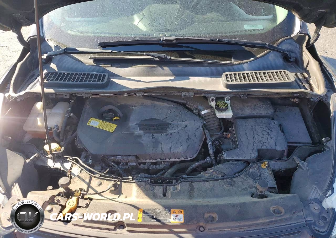 2014 Ford Escape Se VIN:1FMCU0GX6EUA38865 - 12