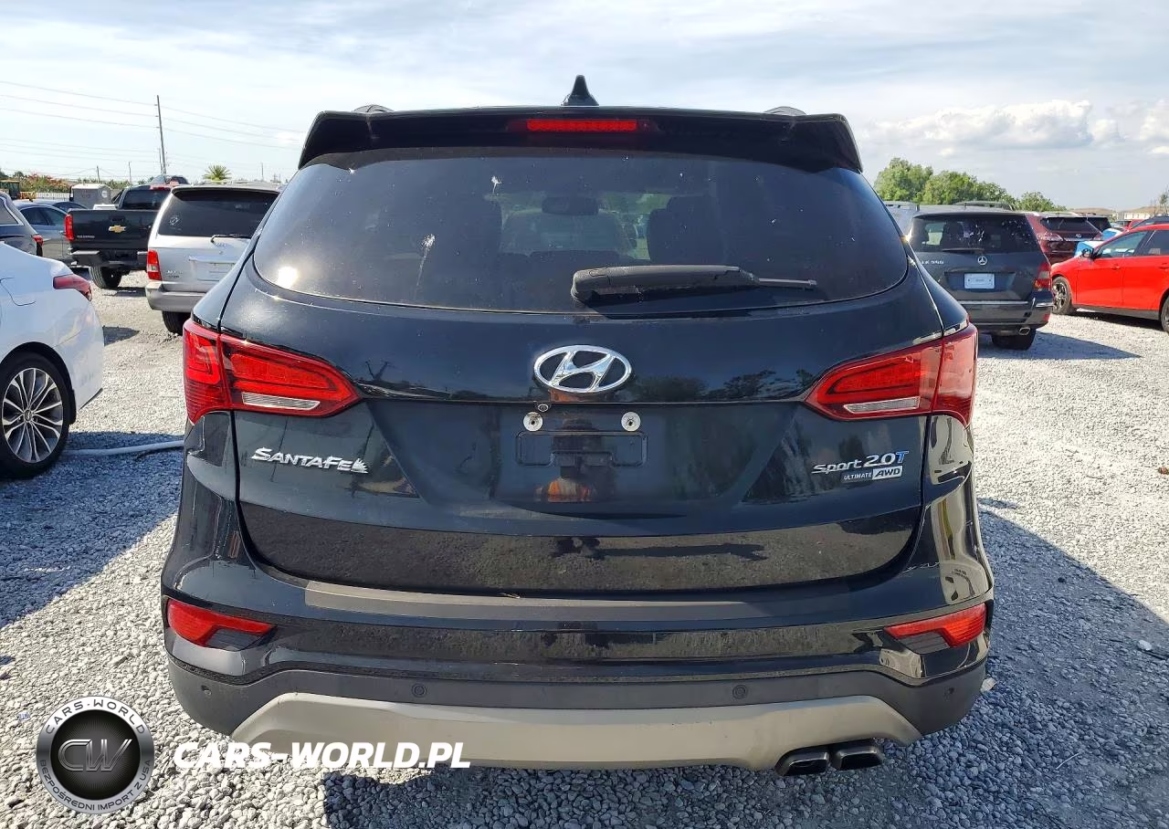 2017 Hyundai Santa Fe Sport 2.0T Ultimate VIN:5XYZWDLA7HG481968 - 6