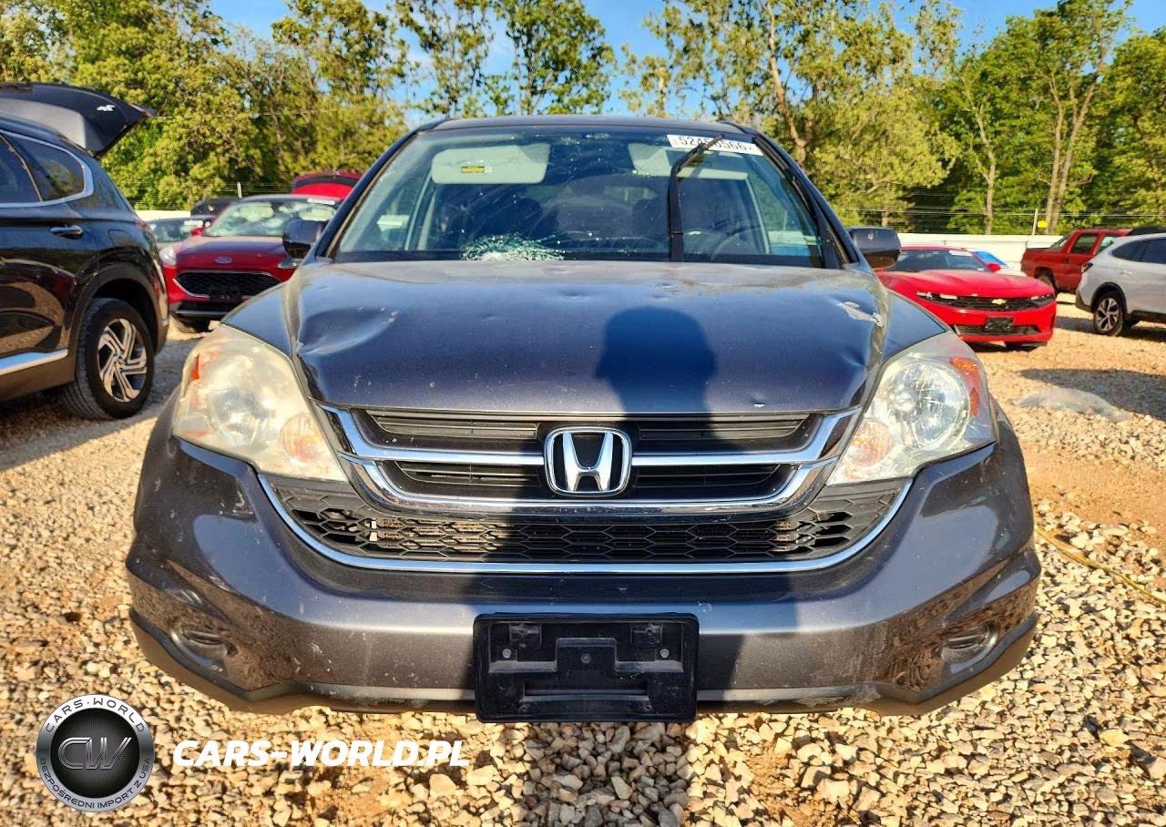 2010 Honda Cr-V Exl VIN:5J6RE4H76AL046363 - 5