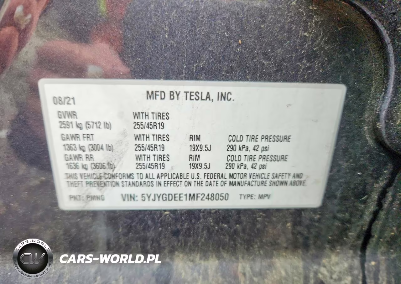 2021 Tesla Model Y VIN:5YJYGDEE1MF248050 - 13