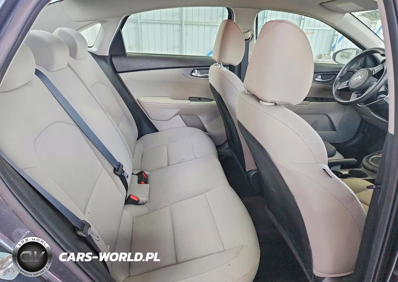 2020 Kia Forte Lxs VIN:3KPF24AD7LE197564 - 10